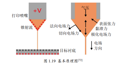 高壓放大器ATA-7050在微納3D打印系統(tǒng)中的具體應用