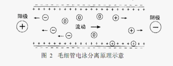 ATA-7050毛細(xì)管電泳功率放大器如何進(jìn)行毛細(xì)管電泳實(shí)驗(yàn)